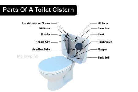 Toilets & Cisterns .